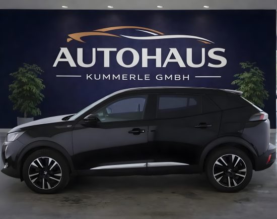 Peugeot 2008 - Image 3