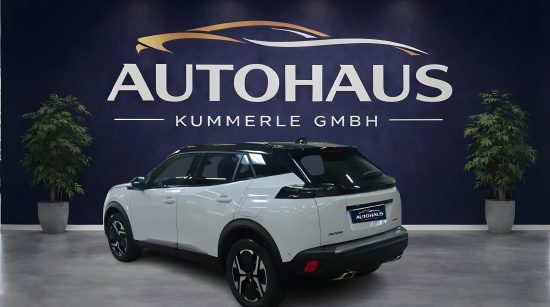 Peugeot 2008 - Image 3