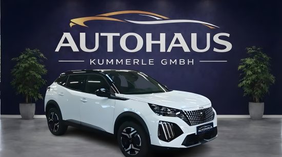 Peugeot 2008 - Image 4